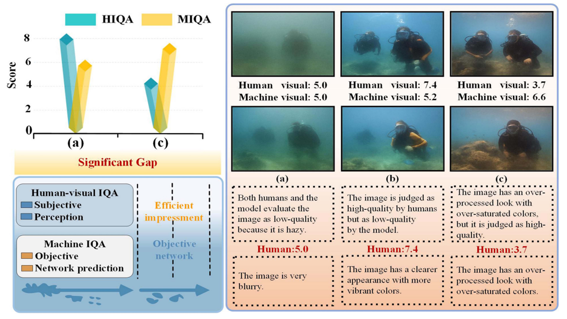 Semantic Contrast for Domain-Robust Underwater Image Quality Assessment.jpg